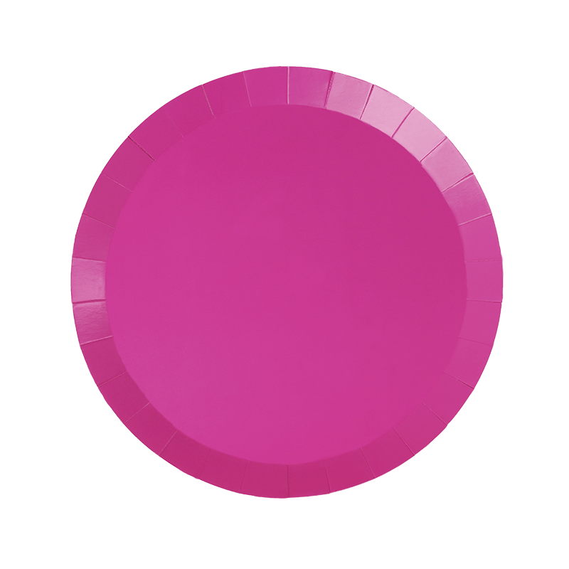 Flamingo Pink Snack Plates