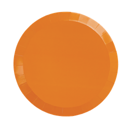 Tangerine Orange Lunch Plates