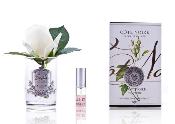 Picture of Cote Noire Ivory White Rosebud