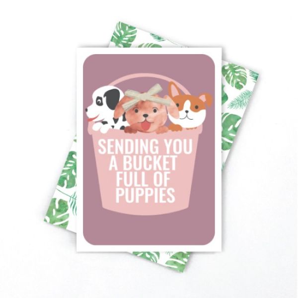 Picture of Bucket Full Of Puppies Card
